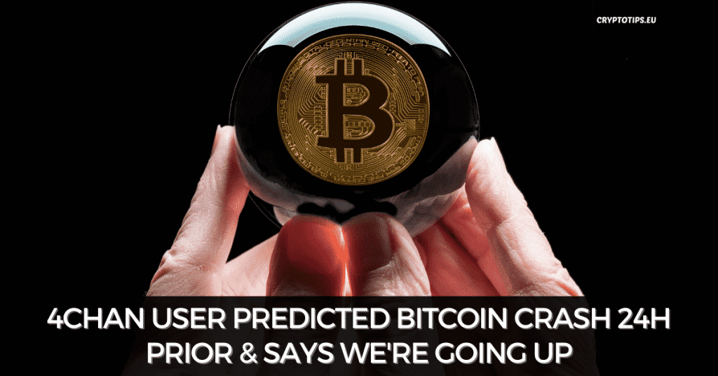 4Chan User Predicted Bitcoin Crash 24H Prior & Says We're Going Up