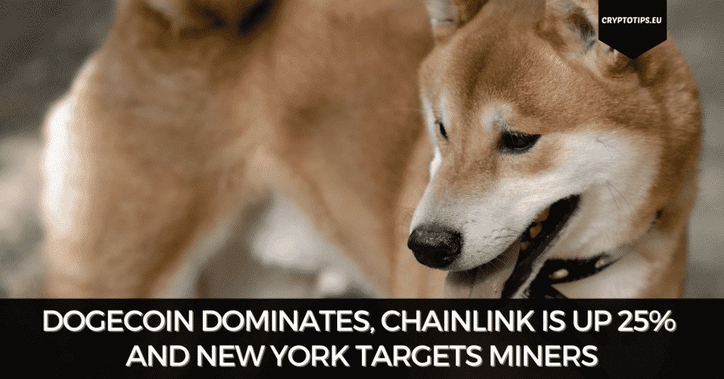 Dogecoin Dominates, Chainlink Is Up 25% And New York Targets Miners