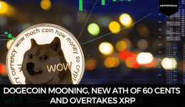 Dogecoin Mooning, New ATH Of 60 Cents And Overtakes XRP