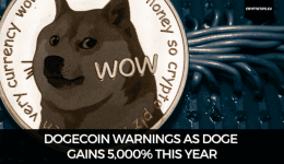 Dogecoin Warnings As DOGE Gains 5,000% This Year