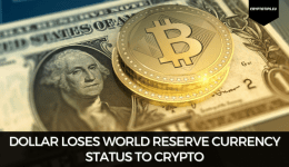 Dollar Loses World Reserve Currency Status To Crypto - Good or Bad News?