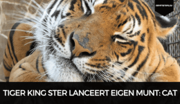 Tiger King ster lanceert eigen munt: CAT