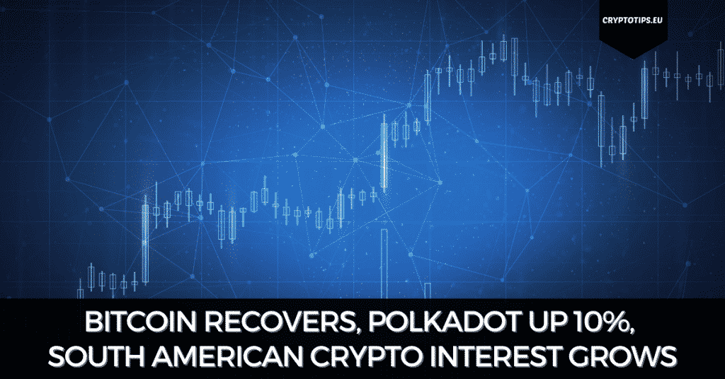 Bitcoin Recovers, Polkadot Up 10%, South American Crypto Interest Grows