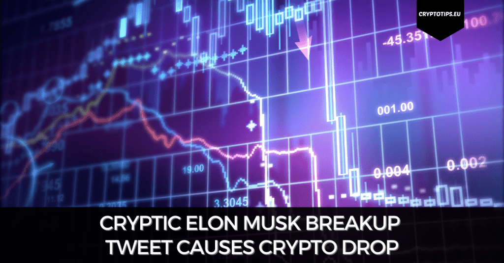 Cryptic Elon Musk Breakup Tweet Causes Crypto Drop