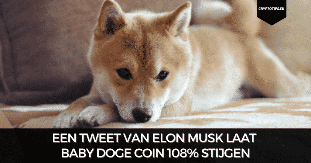 Een tweet van Elon Musk laat Baby Doge Coin 108% stijgen