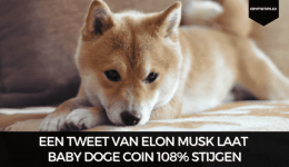 Een tweet van Elon Musk laat Baby Doge Coin 108% stijgen