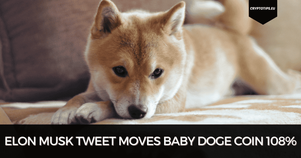 Elon Musk Tweet Moves Baby Doge Coin 108%