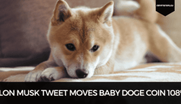 Elon Musk Tweet Moves Baby Doge Coin 108%