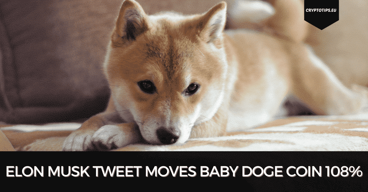 Elon Musk Tweet Moves Baby Doge Coin 108