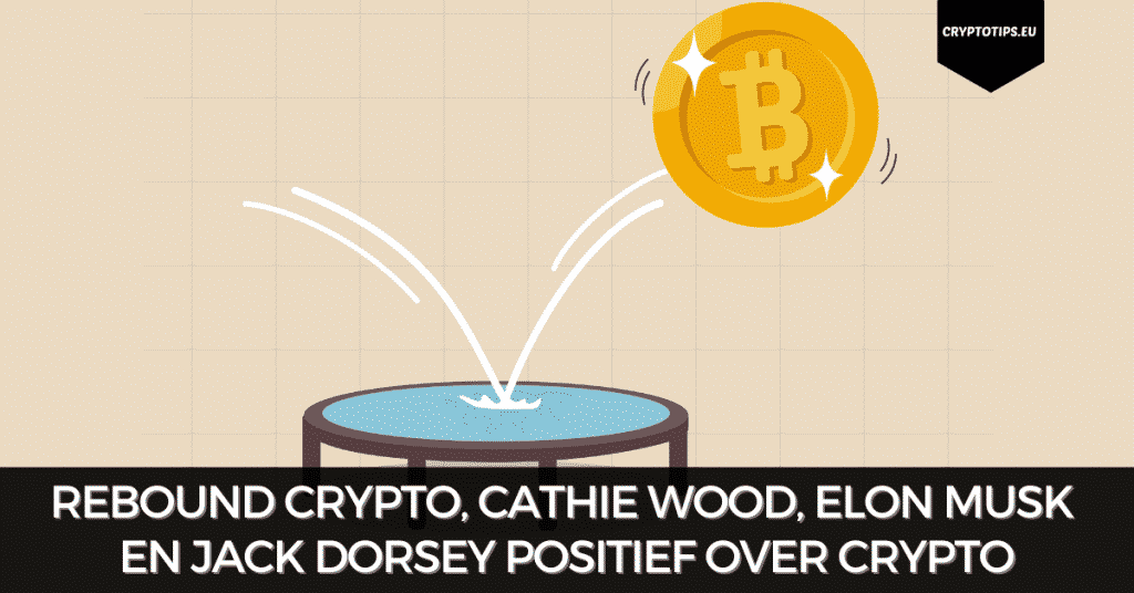 Rebound crypto, Cathie Wood, Elon Musk en Jack Dorsey positief over crypto