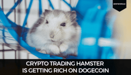 Crypto Trading Hamster Is Getting Rich On Dogecoin
