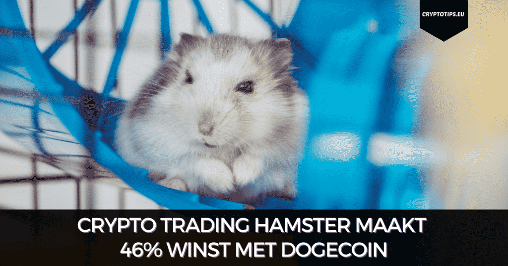 Crypto trading hamster maakt 46% winst met Dogecoin