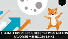 Shiba Inu Experiences DOGE’s Jumps As Elon’s Favorite Memecoin Sinks