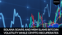 Solana Soars And MSM Slams Bitcoin Volatility While Crypto Recuperates