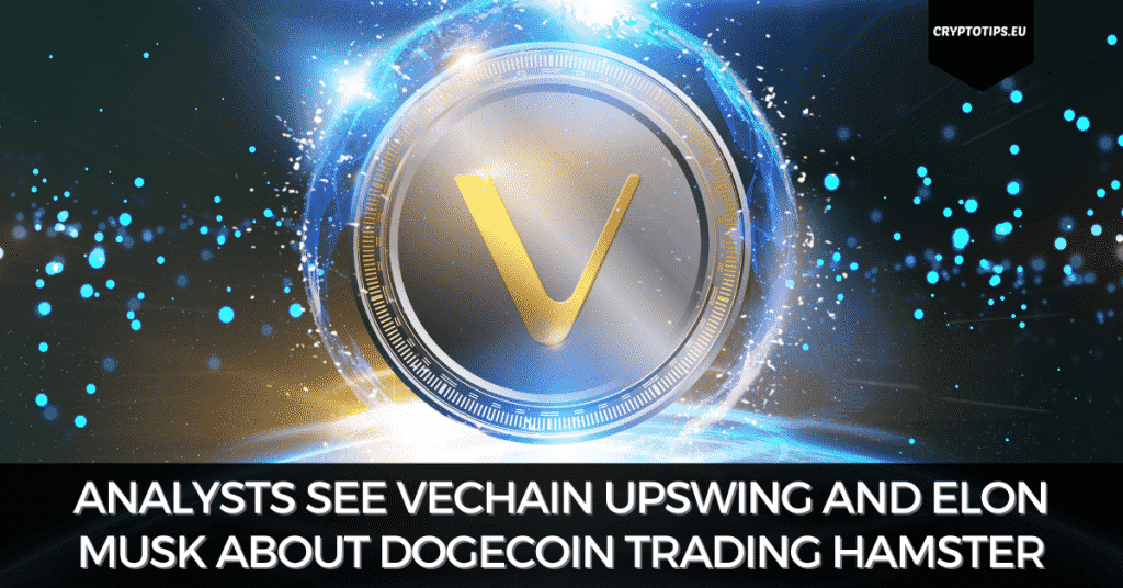 Analysts See VeChain Upswing And Elon Musk Admits Dogecoin Trading Hamster Has ‘Mad Skillz’