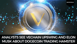 Analysts See VeChain Upswing And Elon Musk Admits Dogecoin Trading Hamster Has ‘Mad Skillz’