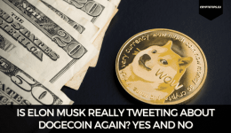 Is Elon Musk Really Tweeting About Dogecoin Again? Yes And No