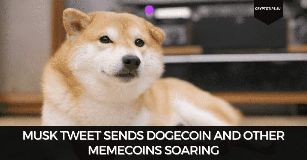 Musk Tweet Sends Dogecoin And Other Memecoins Soaring