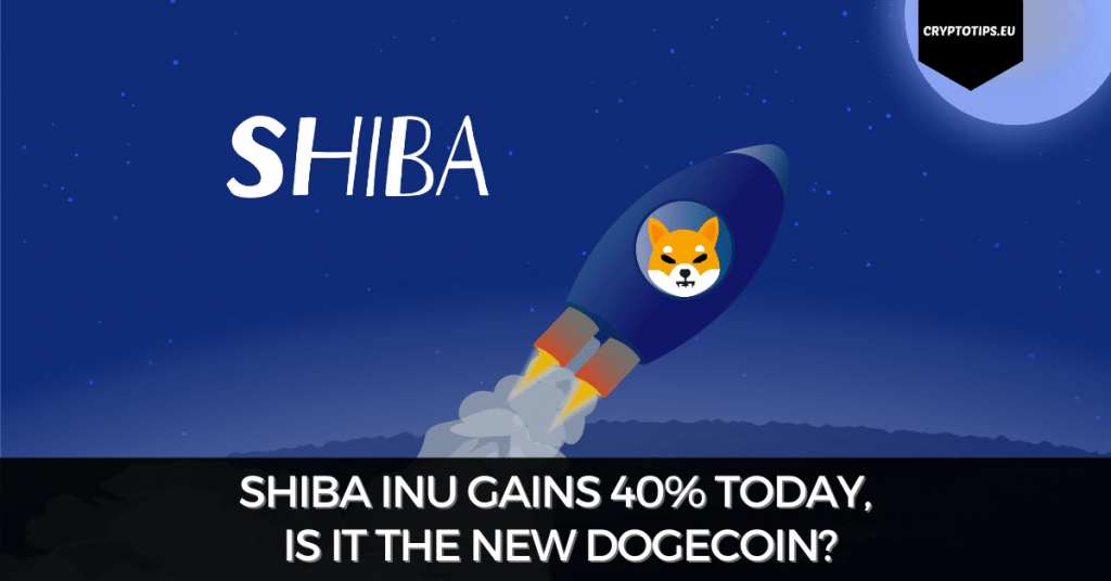 Shiba Inu Gains 40% Today, Is It The New Dogecoin?