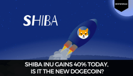 Shiba Inu Gains 40% Today, Is It The New Dogecoin?