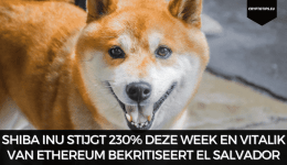 Shiba Inu stijgt 230% deze week en Vitalik van Ethereum bekritiseert El Salvador