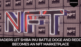Traders Let Shiba Inu Battle DOGE And Reddit Becomes An NFT Marketplace