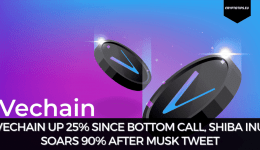 VeChain Up 25% Since Bottom Call, Shiba Inu Soars 90% After Musk Tweet