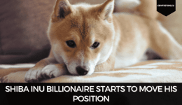 Shiba Inu Billionaire Starts To Move His Position