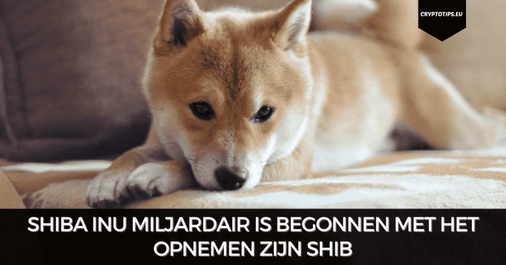 Shiba Inu miljardair is begonnen met het opnemen zijn SHIB