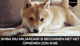 Shiba Inu miljardair is begonnen met het opnemen zijn SHIB