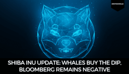Shiba Inu Update: Whales Buy The Dip, Bloomberg Remains Negative, Robinhood Waits