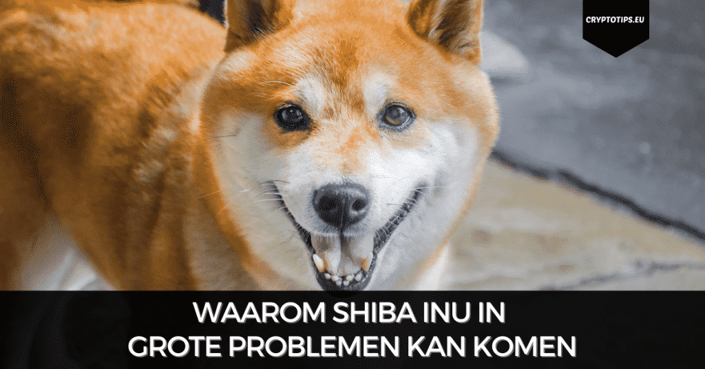 Waarom Shiba Inu in grote problemen kan komen