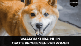 Waarom Shiba Inu in grote problemen kan komen