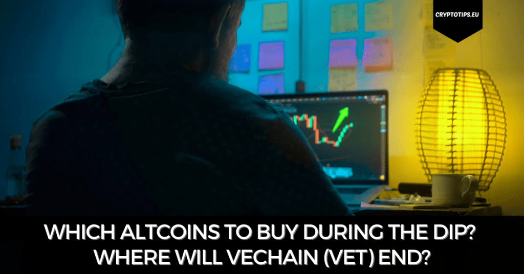Which Altcoins To Buy During The Dip? Where Will VeChain (VET) End?
