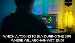 Which Altcoins To Buy During The Dip? Where Will VeChain (VET) End?