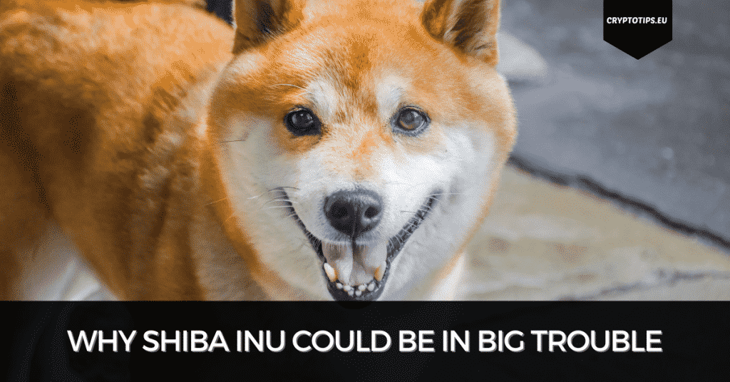 Why Shiba Inu Could Be In Big Trouble