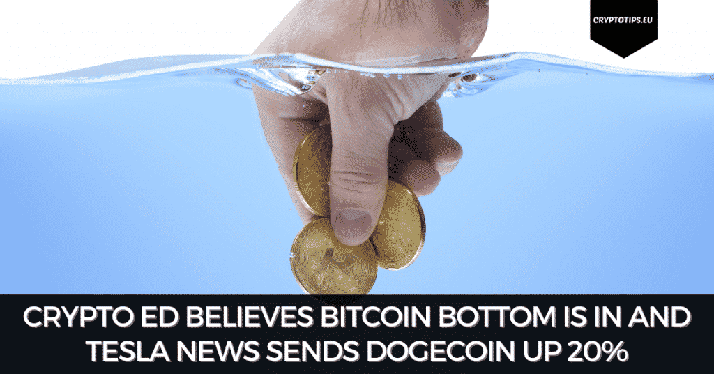 Crypto Ed Believes Bitcoin Bottom Is In And Tesla News Sends Dogecoin Up 20%