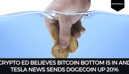 Crypto Ed Believes Bitcoin Bottom Is In And Tesla News Sends Dogecoin Up 20%