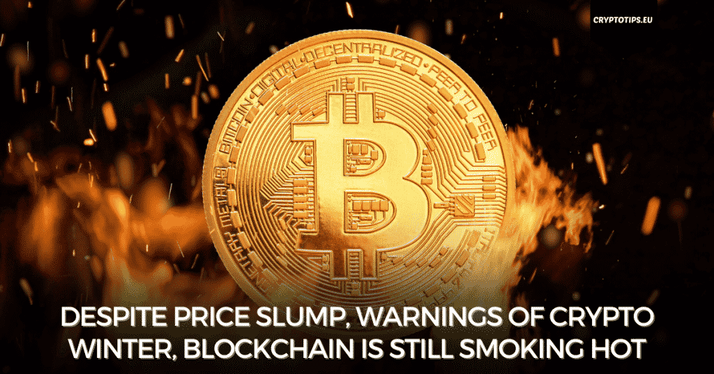 Despite Price Slump, Warnings Of Crypto Winter, Blockchain Is Still Smoking Hot