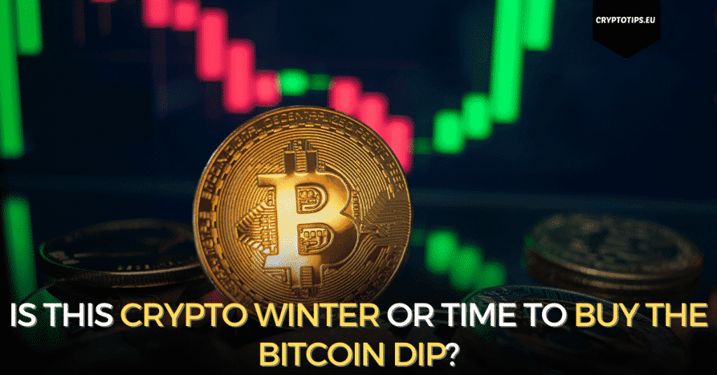 Is This Crypto Winter Or Time To Buy The Bitcoin Dip?