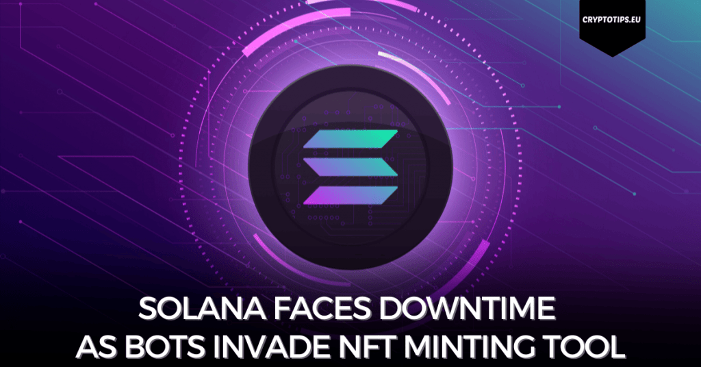 Solana Faces Downtime as Bots Invade NFT Minting Tool