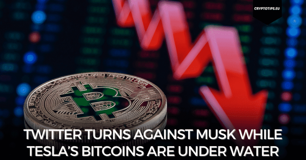 Twitter Turns Against Musk While Tesla’s Bitcoins Are Under Water