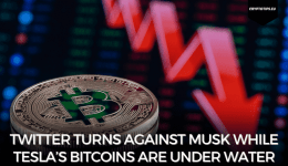 Twitter Turns Against Musk While Tesla’s Bitcoins Are Under Water