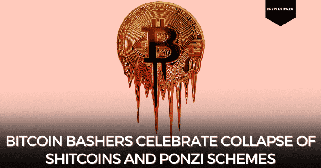 Bitcoin Bashers Celebrate Collapse Of Shitcoins And Ponzi Schemes