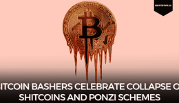 Bitcoin Bashers Celebrate Collapse Of Shitcoins And Ponzi Schemes