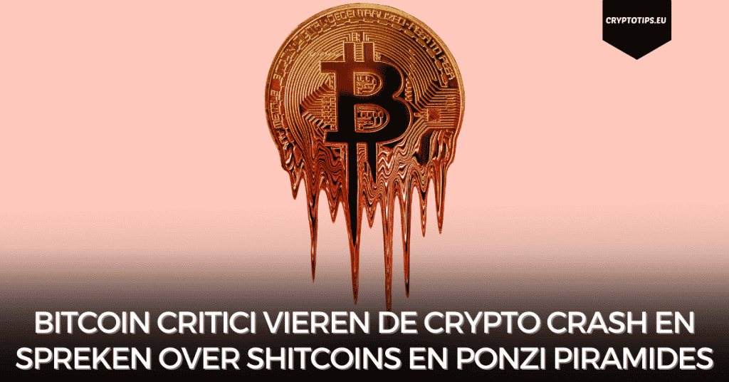 Bitcoin critici vieren de crypto crash en spreken over shitcoins en Ponzi piramides