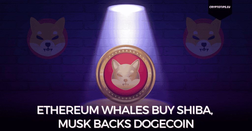 Ethereum Whales Buy Shiba, Musk Backs Dogecoin
