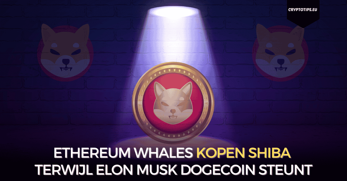 Ethereum whales kopen Shiba terwijl Elon Musk Dogecoin steunt
