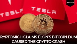 Cryptomich Claims Elon’s Bitcoin Dump Caused The Crypto Crash