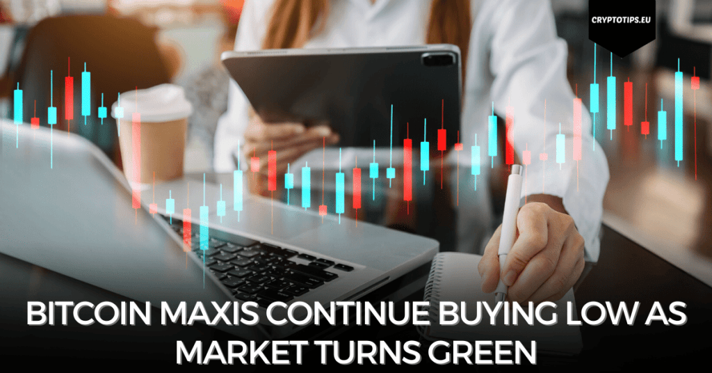 bitcoin maxis